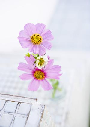 シーリングファンを販売しています