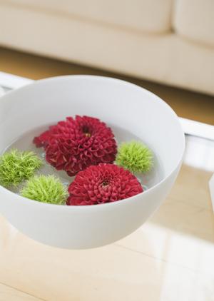 大阪での雛人形の購入希望について