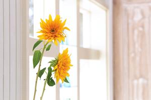 原状回復工事ならトータルインテリア