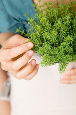 長く使えるオーダーメイド家具を作れる