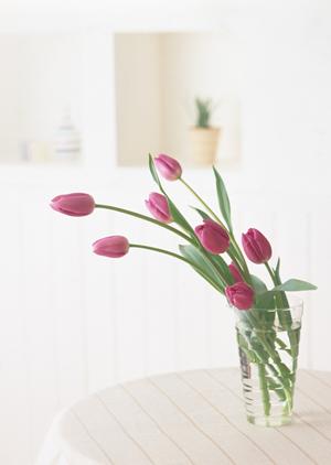 無垢材テーブルを探しているのなら