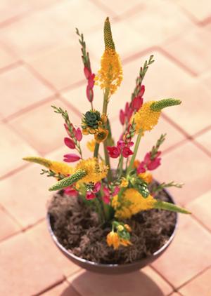 低価格で品質の良いクロス張替えならここ