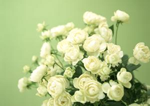 スポットライトの通販が盛んな人気店