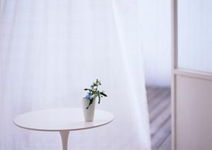 アンティーク家具を東京で見つけるなら