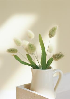 神奈川県横浜市にあるタカラスタンダード横浜ショールームの完全ガイド